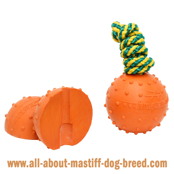 Mastiff Dog Water Ball Made of Dog Friendly Rubber  Material