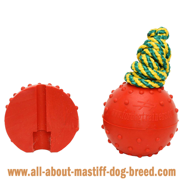 Mastiff Dog Water Ball with Colorful Strong Nylon Cord