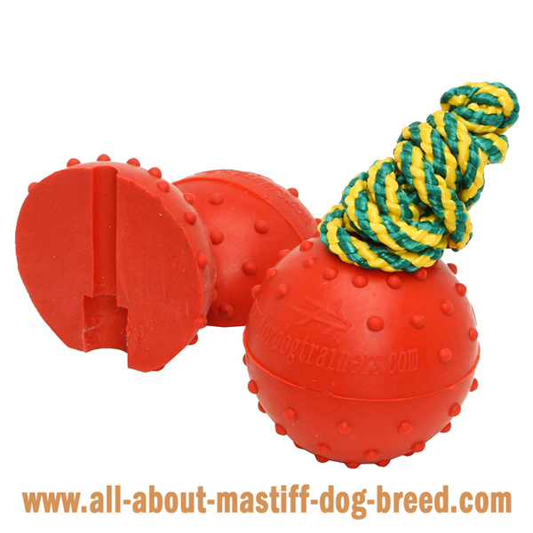 Mastiff Dog Water Ball Made of Dog Friendly Rubber  Material
