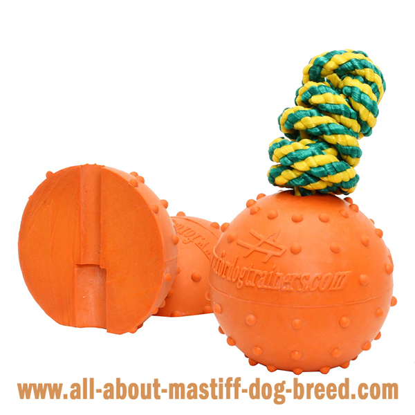 Mastiff Dog Water Ball with Colorful Strong Nylon String