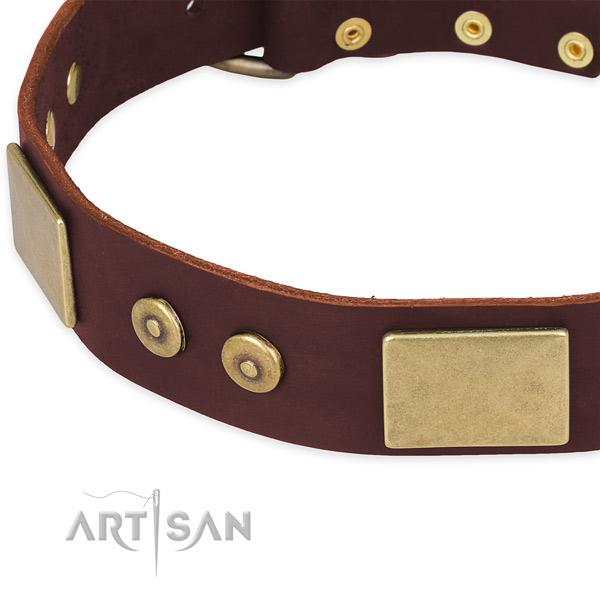 Genuine leather dog collar with adornments for everyday walking