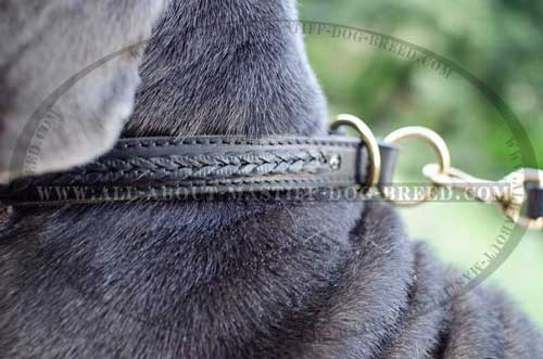 Mastino Napoletano choke leather collar with brass hardware