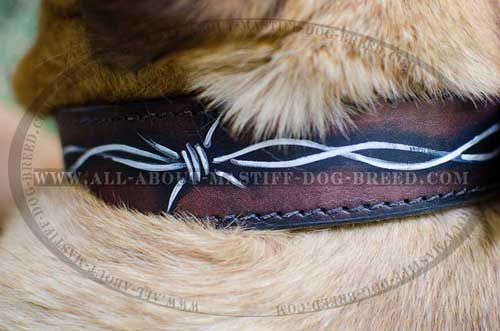 Non-stretching leather dog collar for training