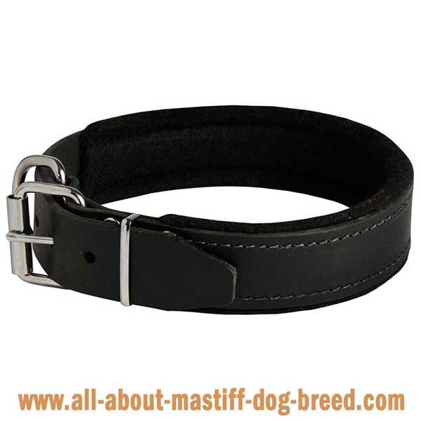 Easy adjustable leather collar with hardware