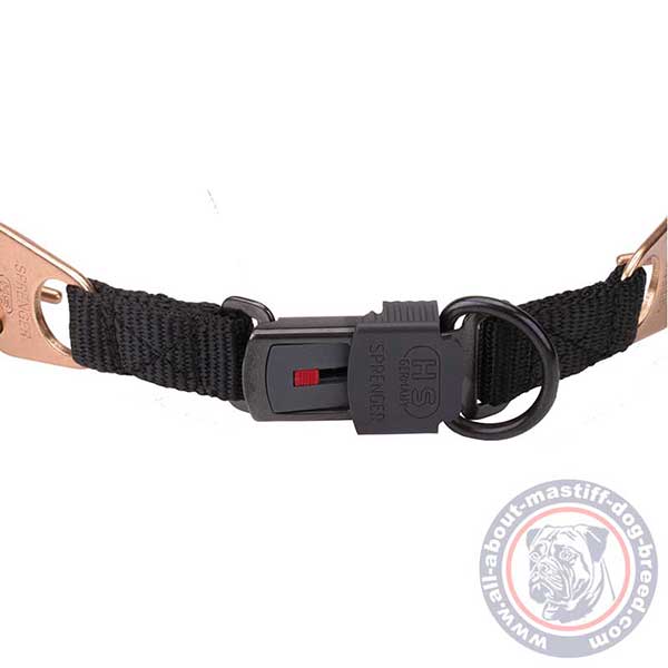 Reliable pinch dog collar with buckle