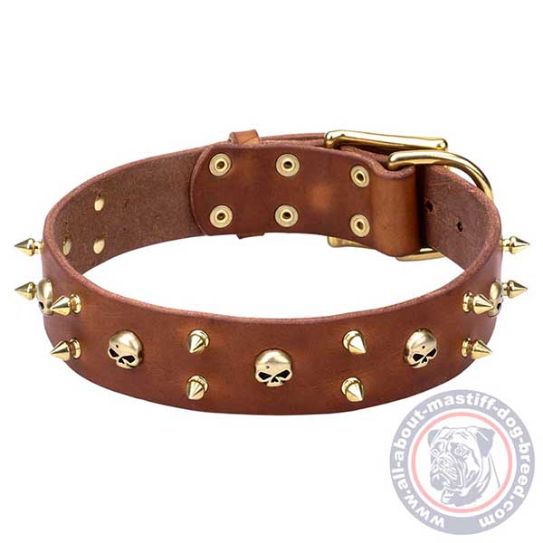 Brown leather dog collar for walking and training