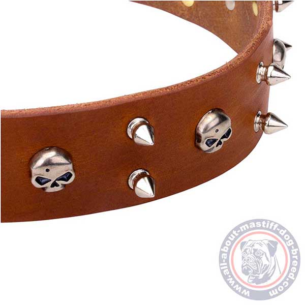 Brown leather dog collar with riveted details