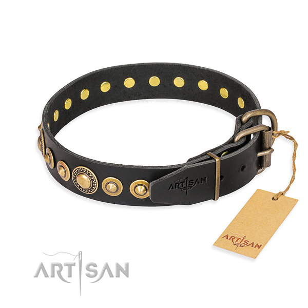 Functional leather collar for your elegant four-legged friend