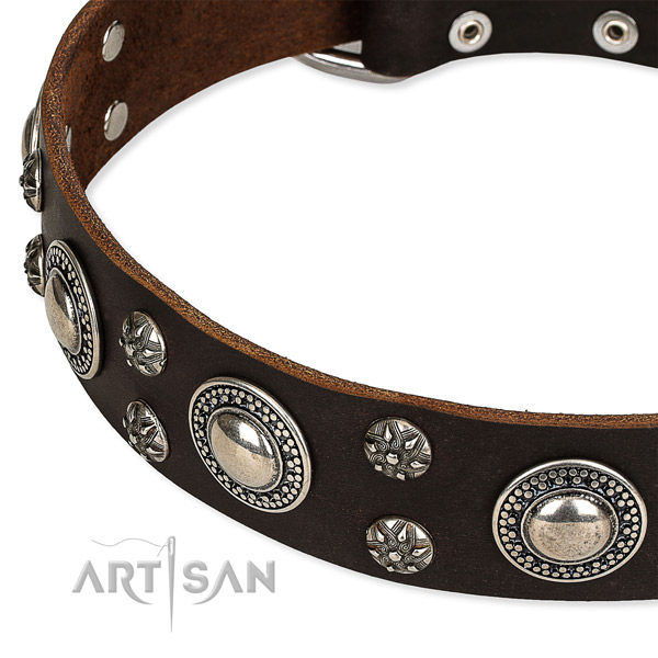 Easy to use leather dog collar with extra strong non-rusting fittings