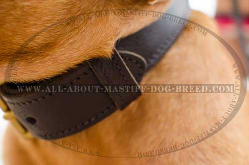Dogue de Bordeaux 2 ply leather collar