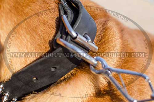 Dogue de Bordeaux Leather Collar with Almost Unbreakable D-Ring 