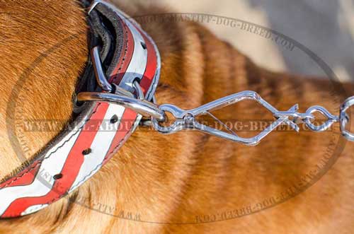 Dogue de Bordeaux Painted Leather Collar Equipped with Nickel Fittings