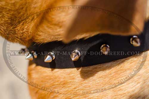  Non-irritating Mastiff leather collar 