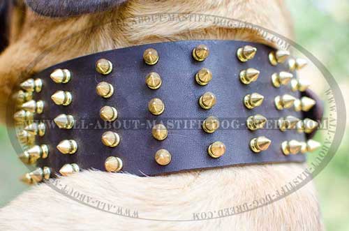 Adjustable leather dog collar comfy to wear
