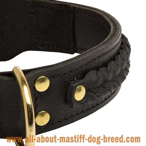 Safe Leather Collar for French Mastiff