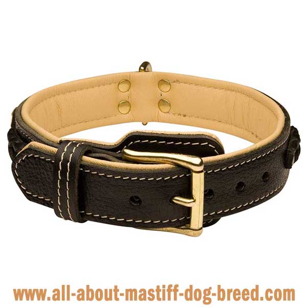 German Mastiff Dog Collar Made of Black Genuine Leather  with Riveted Brass Fittings