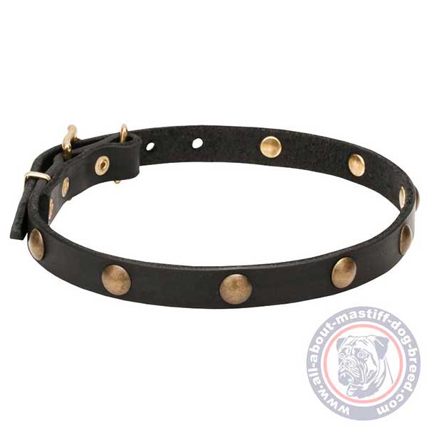 Flexible leather dog collar
