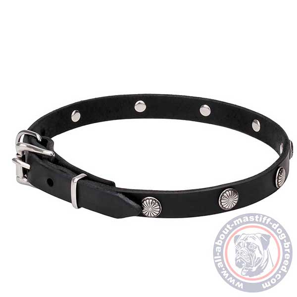 Narrow width leather dog collar 