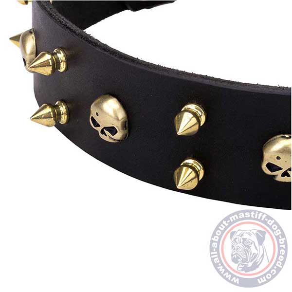 Black leather dog collar with brass spikes