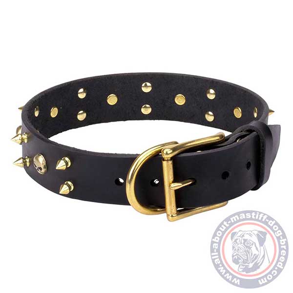 Designer black leather dog collar with brass hardware