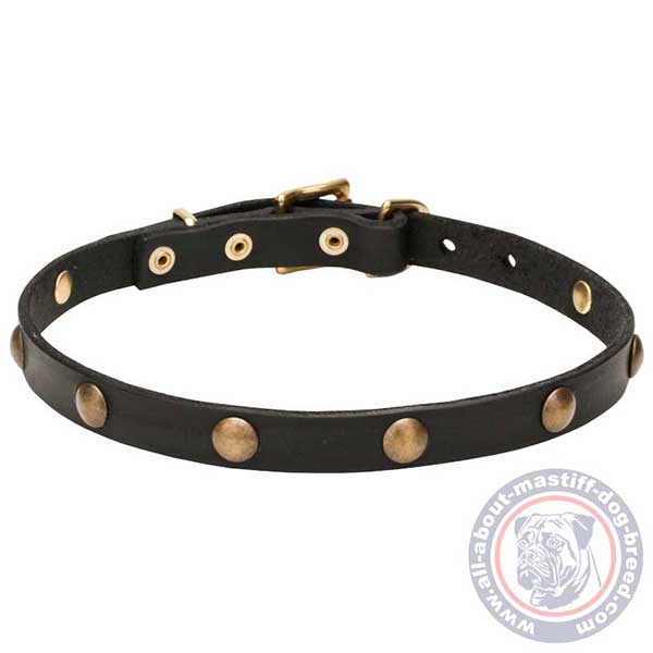Decorated leather dog collar with round studs
