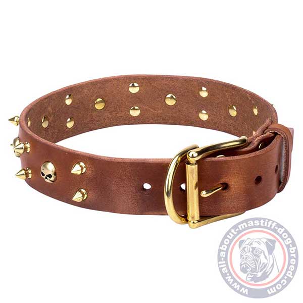 Buckled brown leather dog collar