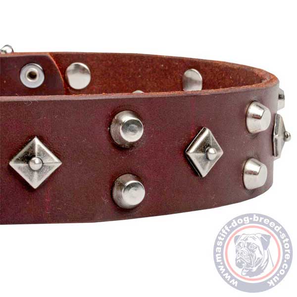Studded brown leather dog collar