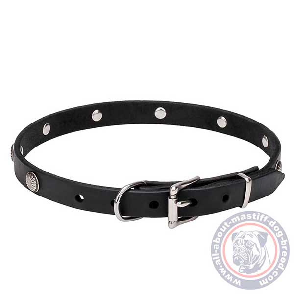 Leather dog collar with reliable buckle