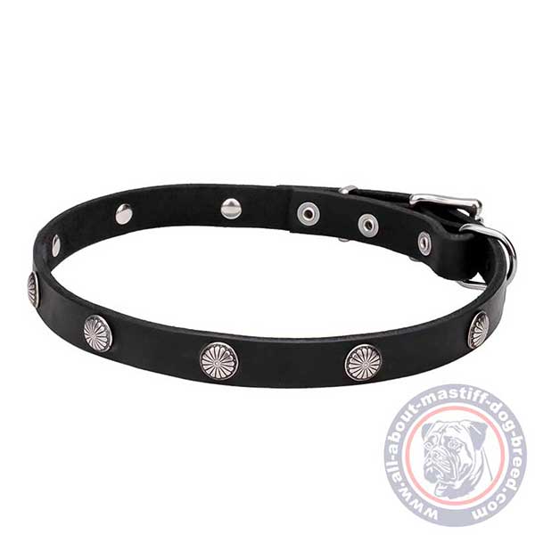 Dog-friendly leather dog collar 