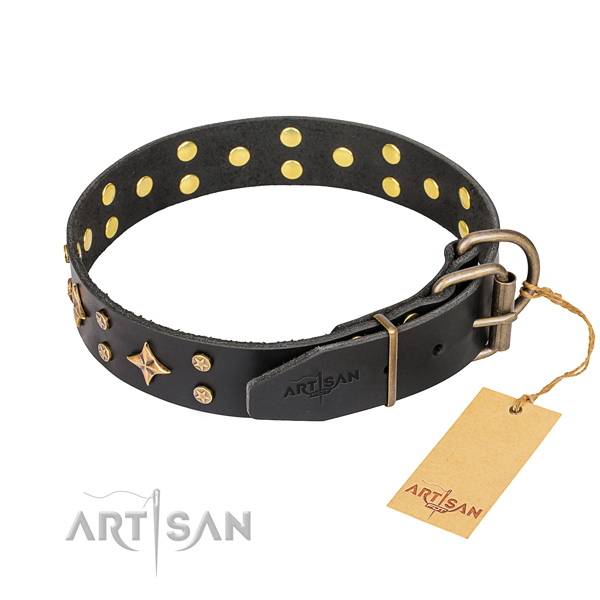 Stylish leather collar for your noble dog