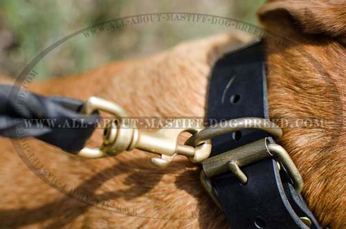 Long-lasting leather dog collar with stainless buckle and D-ring