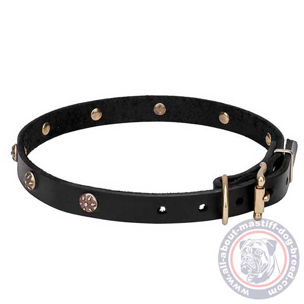 Attractive leather dog collar with studs