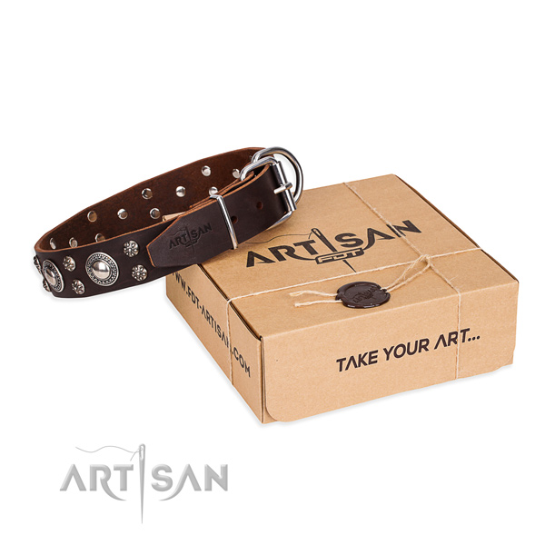 Day-to-day leather dog collar with astounding decorations
