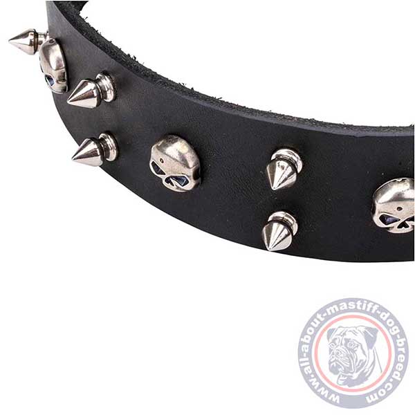 Spiked and studded black leather dog collar