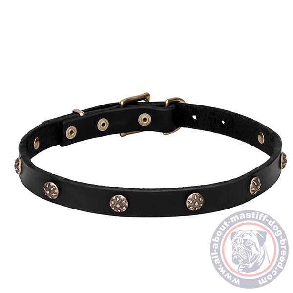 Decorated leather dog collar 