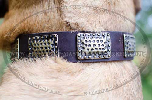  Attractive leather dog collar with handset plates