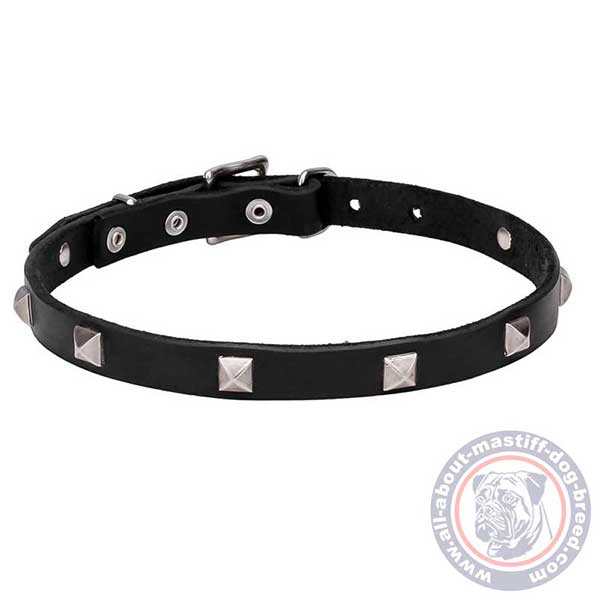 Leather dog collar with silver-like decorations