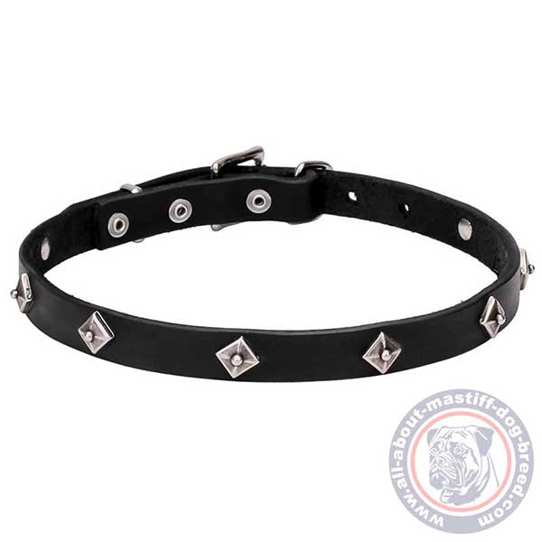 Leather dog collar with attractive studs