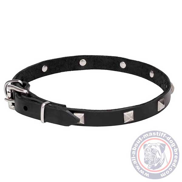 Leather dog collar for easy control