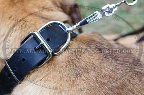 Strong leather dog collar with stainless buckle and D-ring