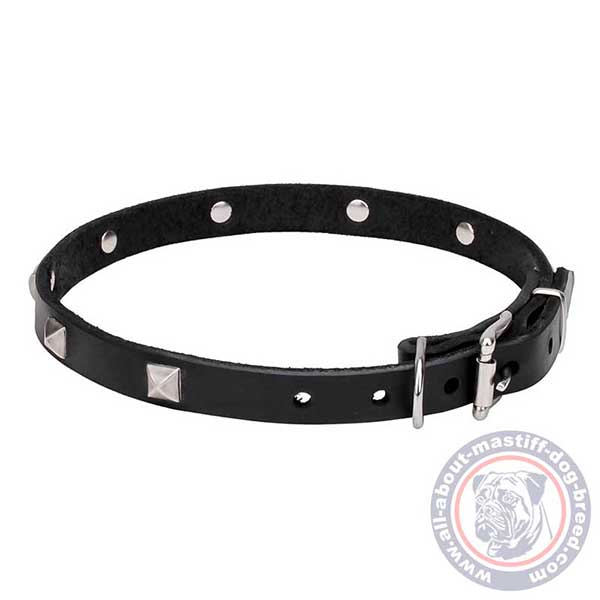 Leather dog collar for walking
