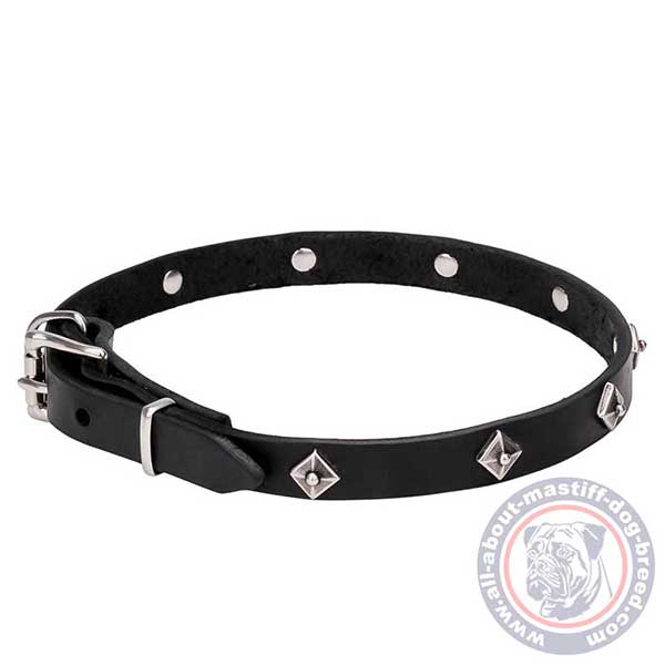 Leather dog collar with strong hardware