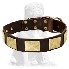 Skillfully decorated Mastiff collar with plates