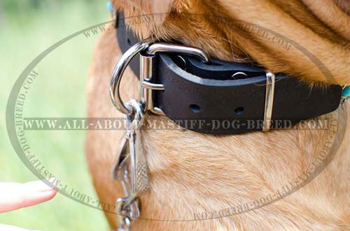 Easy in use leather collar