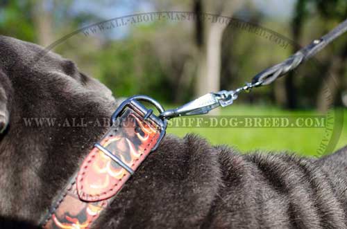 special collar with bright flames