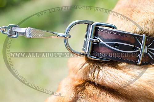 Easy in use leather collar