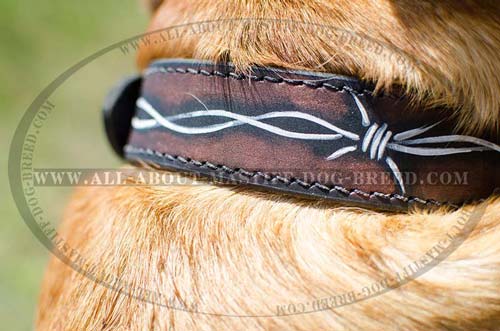 Easy in handling leather collar
