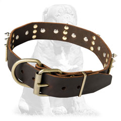 Durable  leather collar