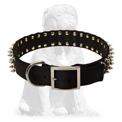 Well-fitted nylon collar with buckle