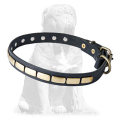 Durable leather collar with plates